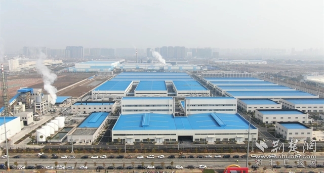 園區(qū)企業(yè)。記者 魯偉龍 攝.webp.jpg