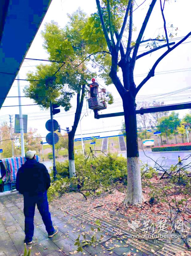 圖片24.png.png