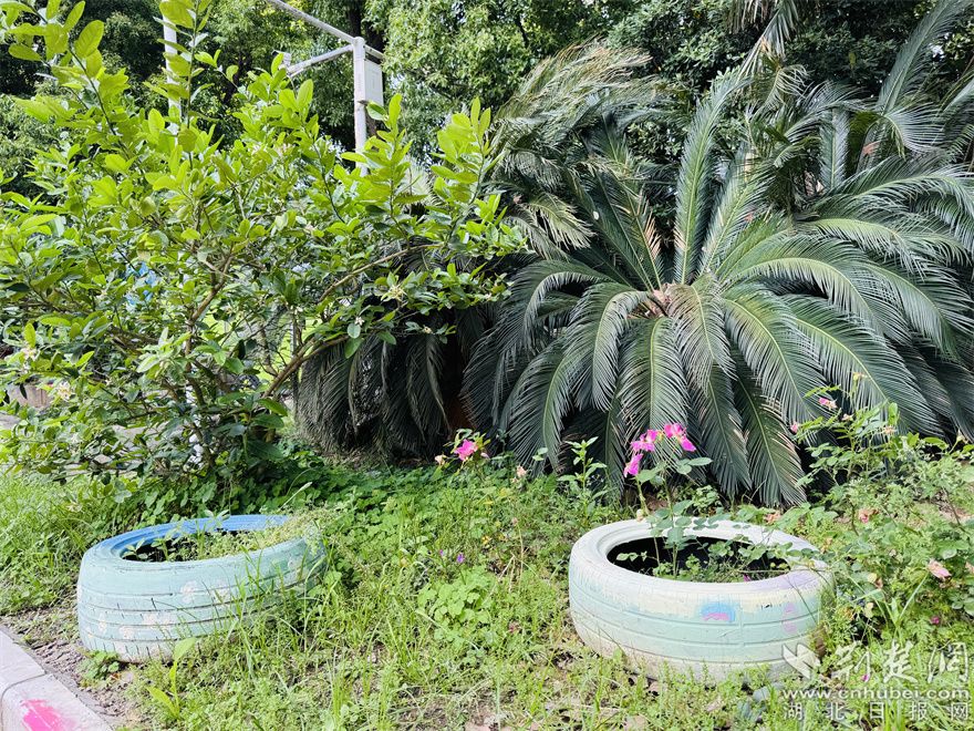 4.引入信托制物業(yè)后小區(qū)建起了生態(tài)小花園.jpg.jpg